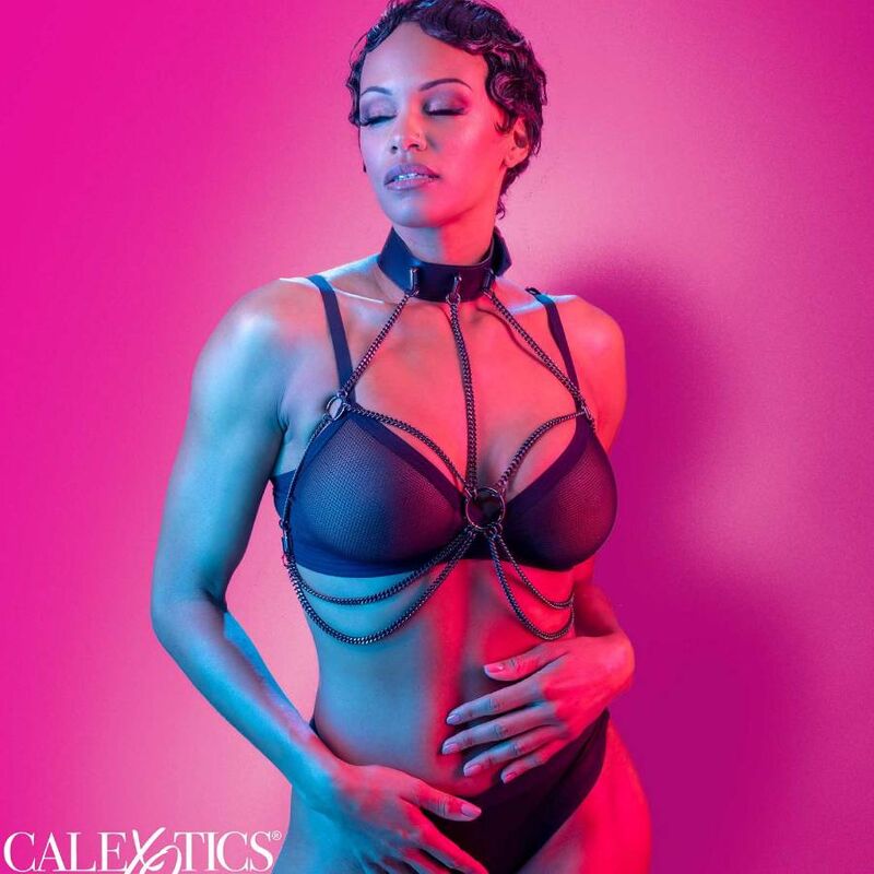 CALEXOTICS - EUPHORIA MONIKETJUINEN PANTAVALJAAT