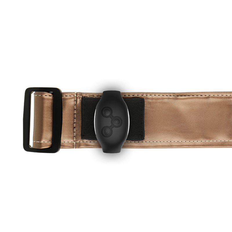 MYTOLOGIA - FANTASIAVALJAAT - PRONSSSINEN VALJAAT S/M