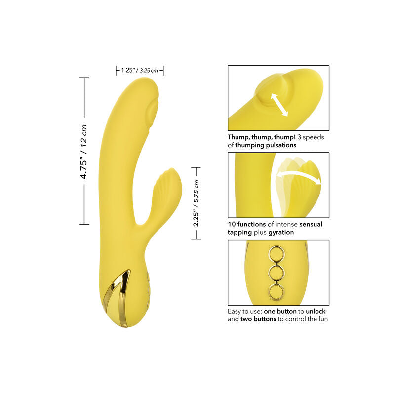 CALEXOTICS - SAN DIEGON VIEHELYS