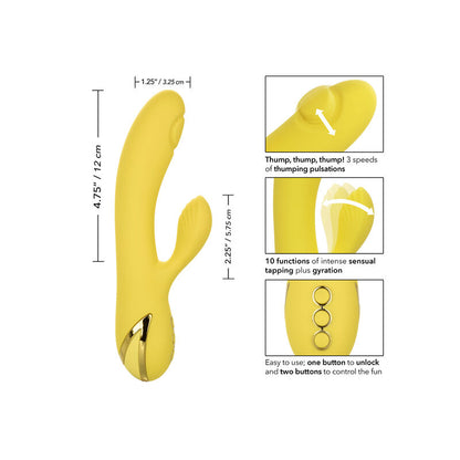 CALEXOTICS - SAN DIEGON VIEHELYS