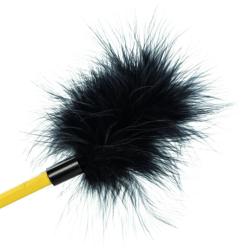 CALEXOTICS - RAJATON HÖYHENKASVOT