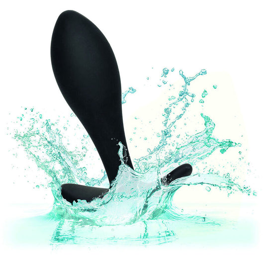 CALEXOTICS - RAJATON PISARATULPPA