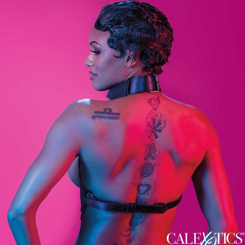 CALEXOTICS - EUPHORIA MONIKETJUINEN PANTAVALJAAT