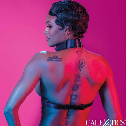 CALEXOTICS - EUPHORIA MONIKETJUINEN PANTAVALJAAT