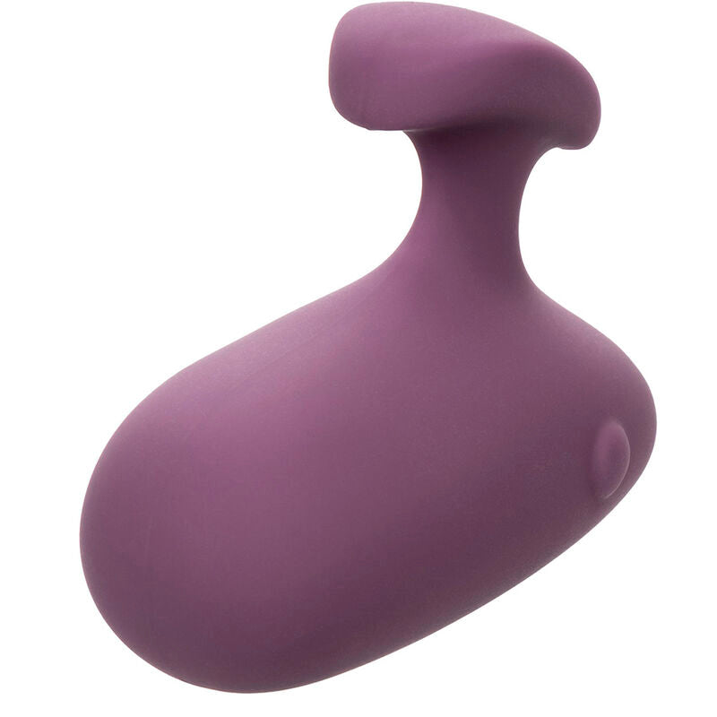 CALEXOTICS - MOD TOUCH -STIMULAATTORI VIOLETTI