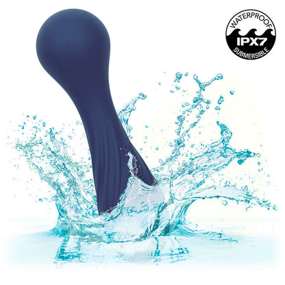 CALEXOTICS - CHARISMA TEMPTATION -HIERONTALAITE 12 TOIMINTOA, VIOLETTI