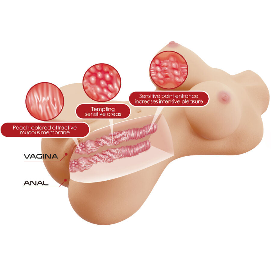 HULLU HÄRKÄ - REALISTINEN NAISEN TORSON VAGINA JA ANAALI 1,9 KG