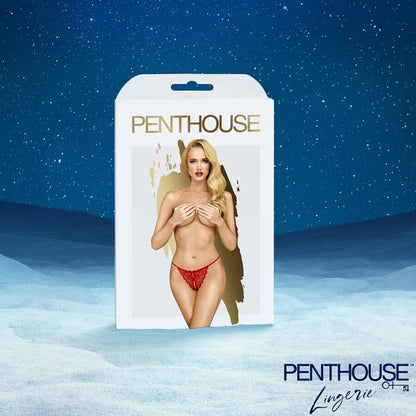 SATISFYER - PREMIUM-JOHTOKALENTERI 2025