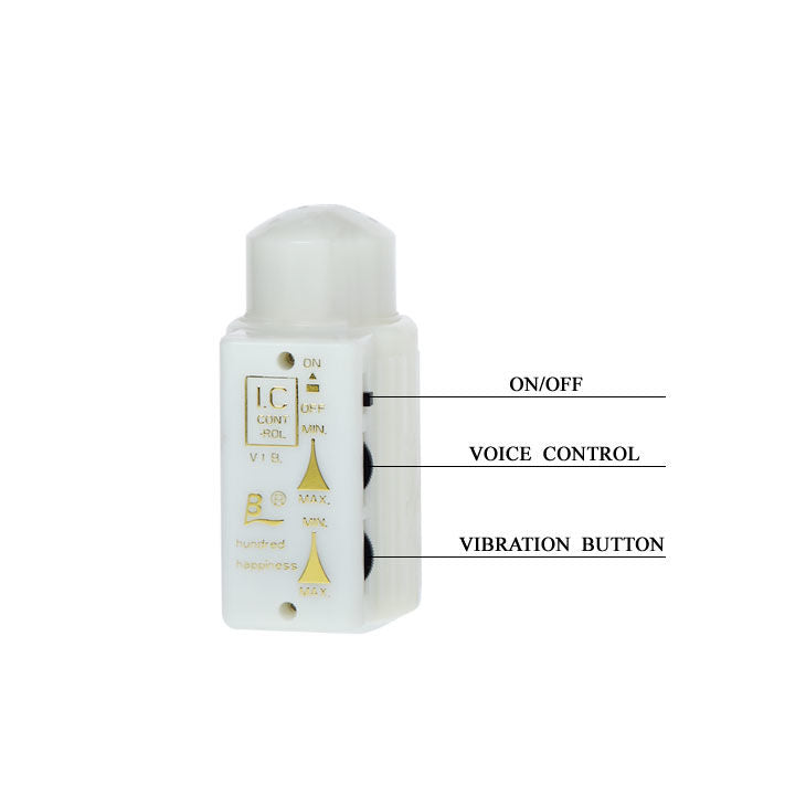 BAILE - MR BIG REALIST PENIS- JA PERÄAUKKOMASTURBAATORI