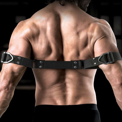 SIR RICHARDS - KOMENTAJA HAUIKSETTAITTAJA