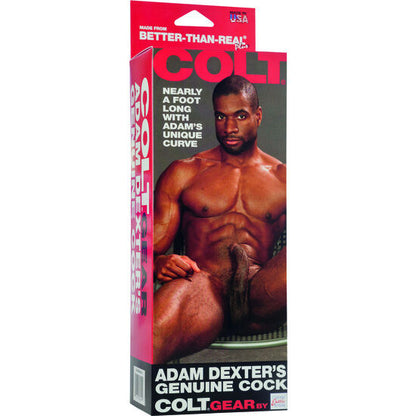 CALEXOTICS - COLT ADAM DEXTERS -KUKKO