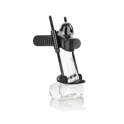 CALEXOTICS - PENIKSEN PITKÄLLE