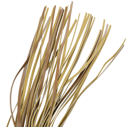 FETISSINEN ALISTUVA ORIGEN - VEGAANINEN NAHKARUOSKA