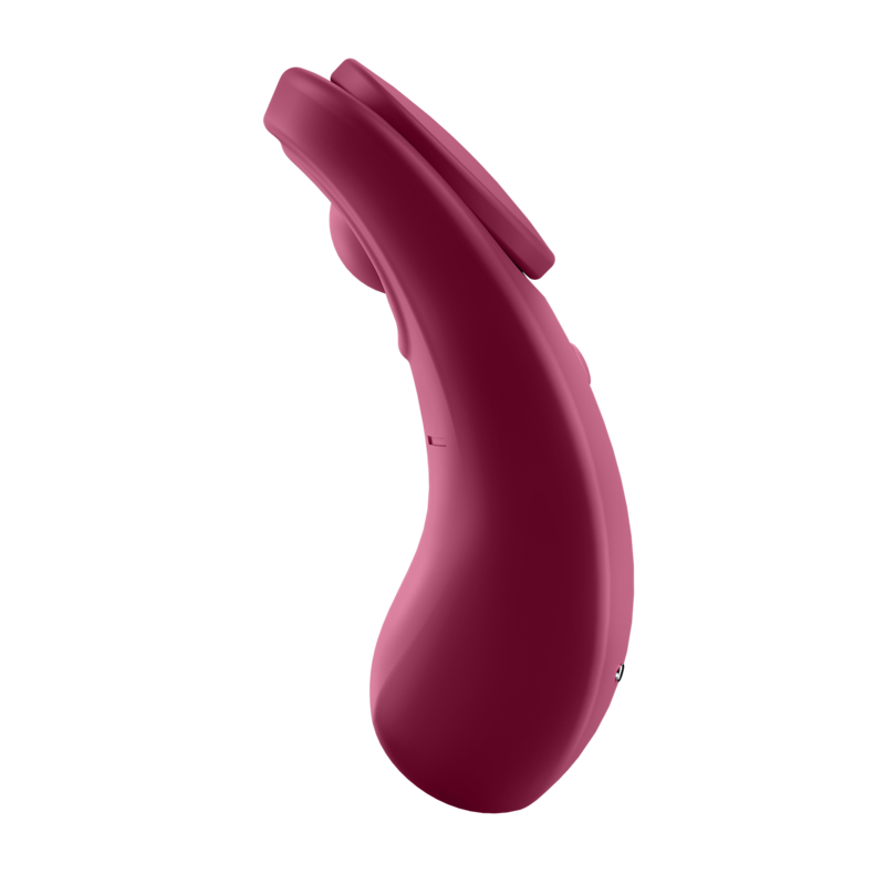 SATISFYER - SEKSUKKAASTI SALAISIA PIKKUREITÄ