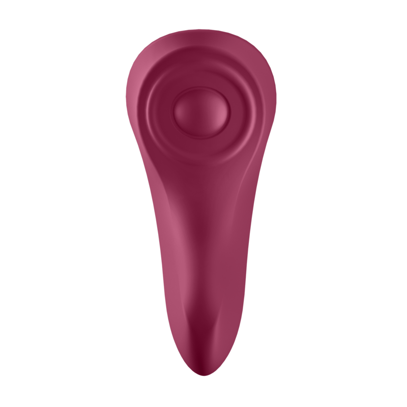 SATISFYER - SEKSUKKAASTI SALAISIA PIKKUREITÄ