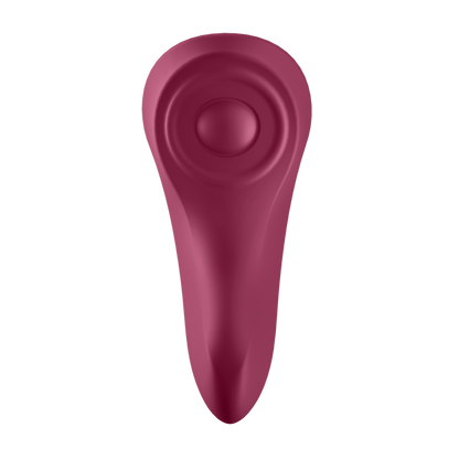 SATISFYER - SEKSUKKAASTI SALAISIA PIKKUREITÄ