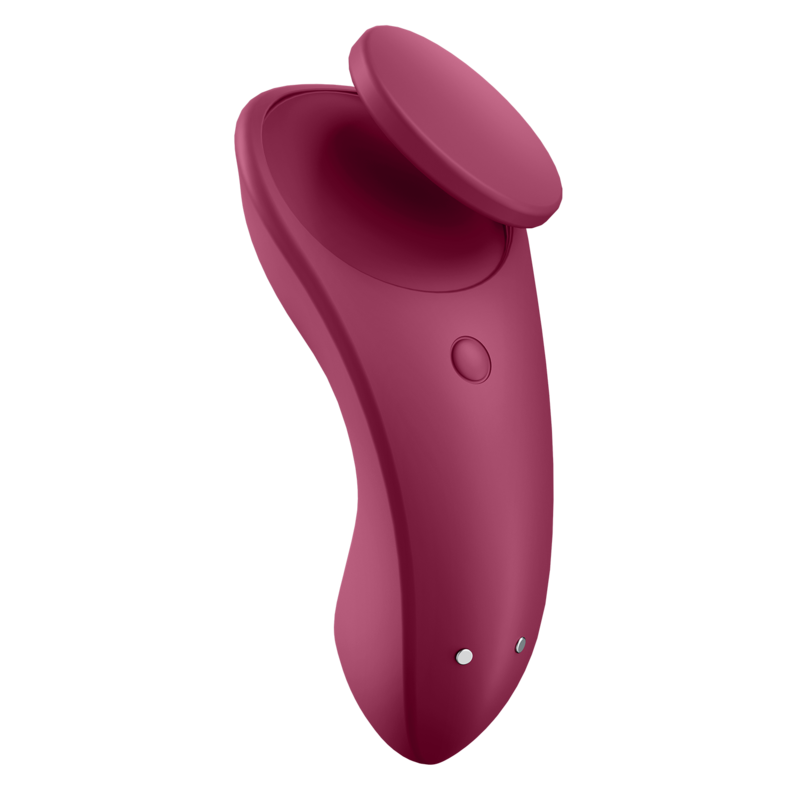 SATISFYER - SEKSUKKAASTI SALAISIA PIKKUREITÄ